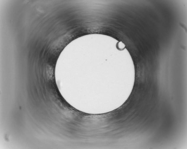 X0000103930025200810031310