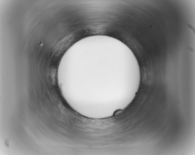 X0000103930026200810031310