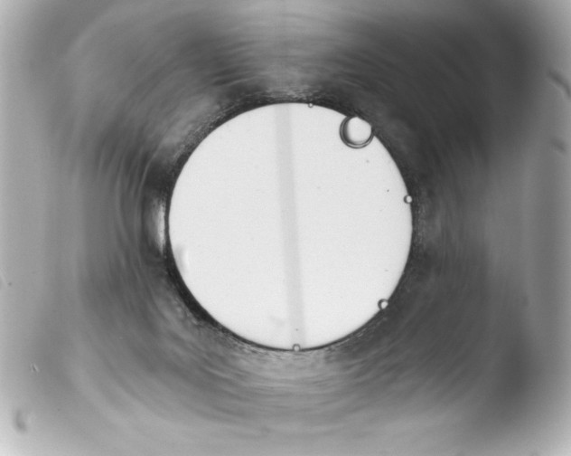 X0000103930027200810031310