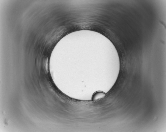 X0000103930028200810031310