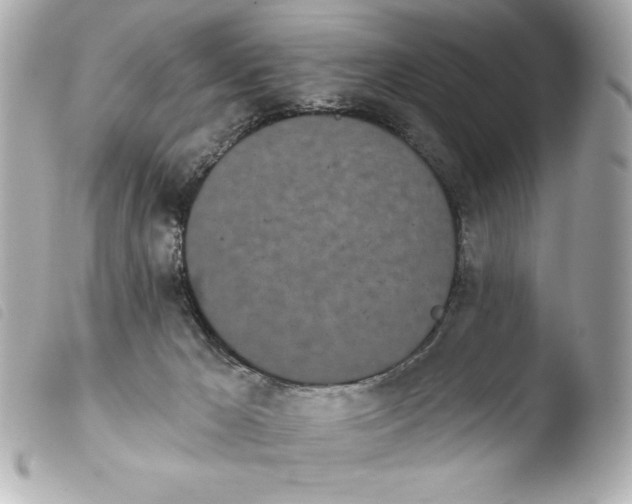 X0000103930029200810031309