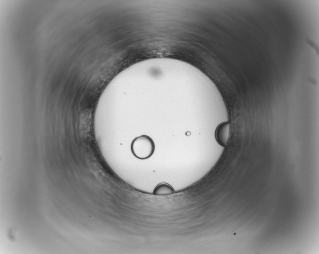 X0000103930030200810031309