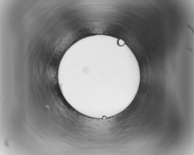 X0000103930031200810031309