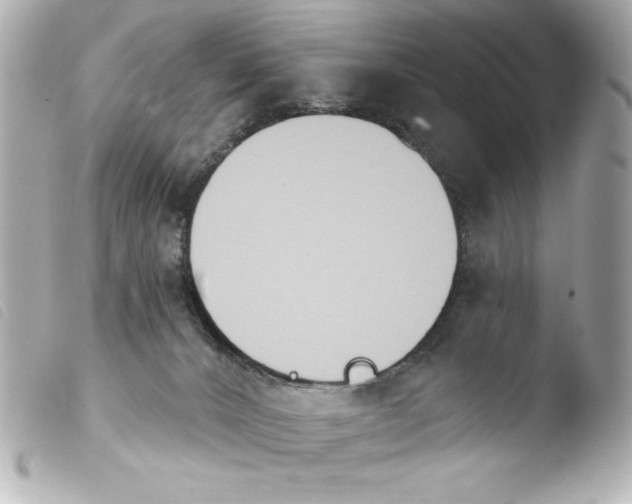 X0000103930032200810031309