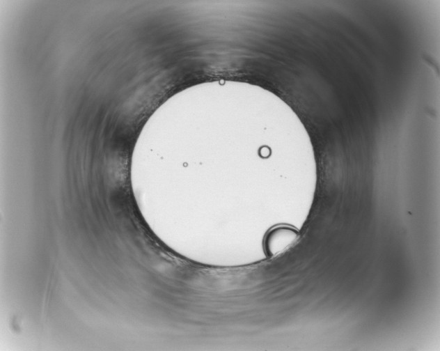 X0000103930033200810031309