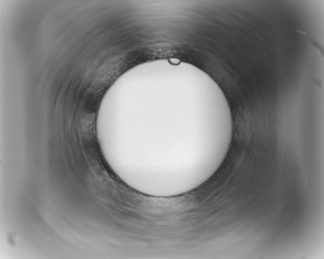 X0000103930034200810031309