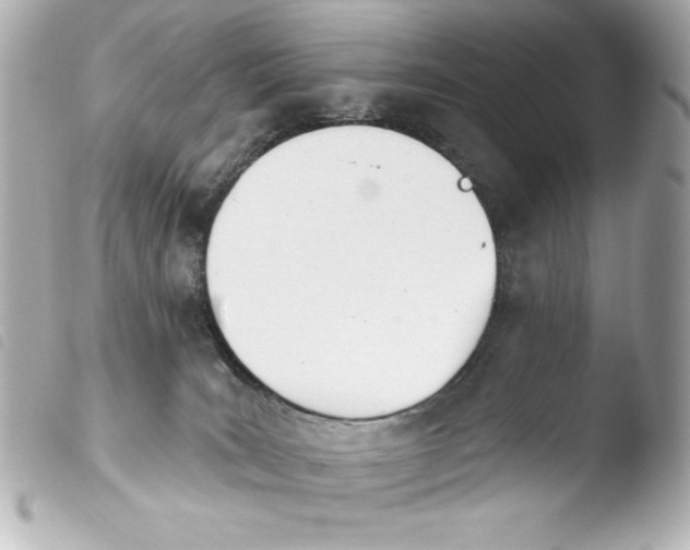 X0000103930035200810031309