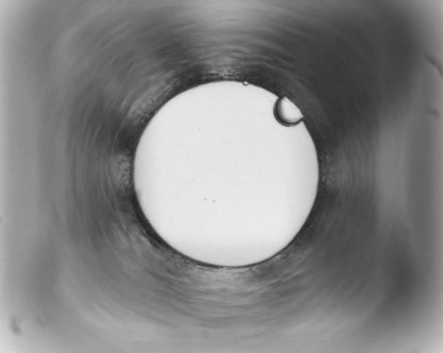 X0000103930036200810031309