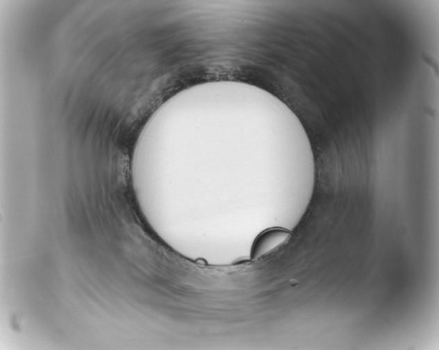 X0000103930038200810031309