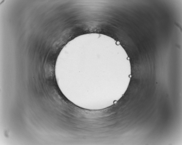 X0000103930039200810031309