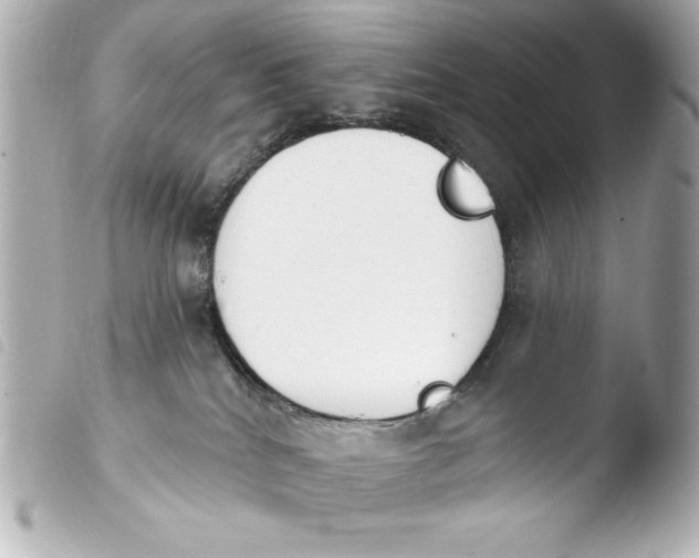 X0000103930040200810031309