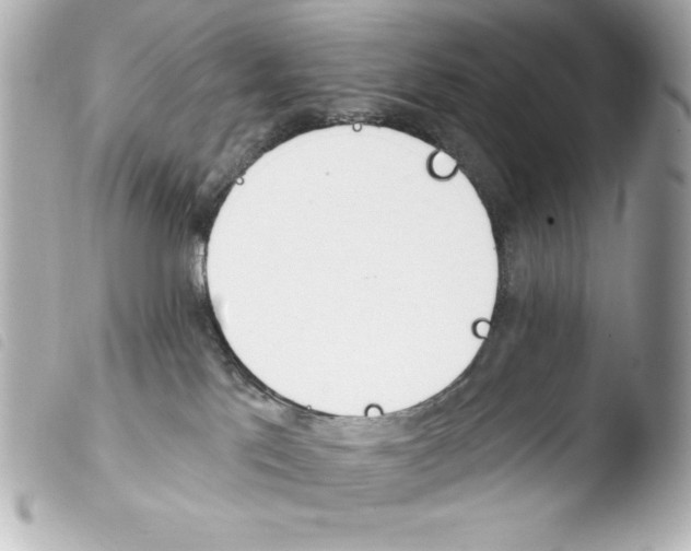 X0000103930041200810031309