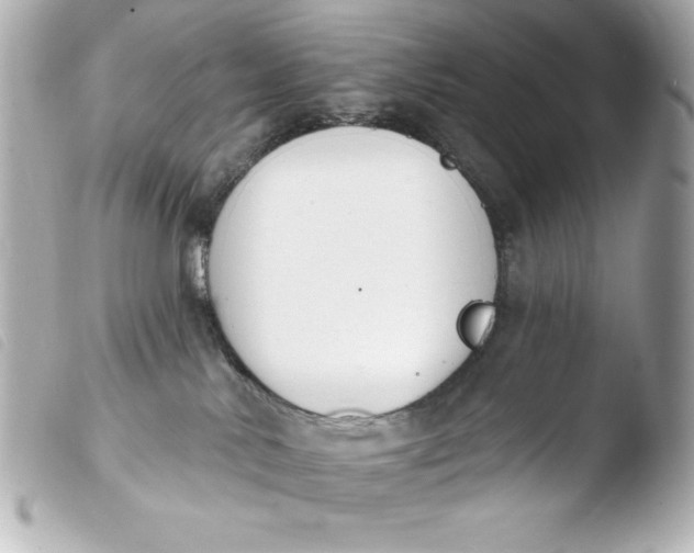 X0000103930042200810031309