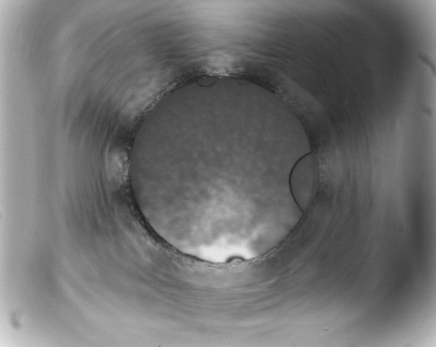 X0000103930043200810031309