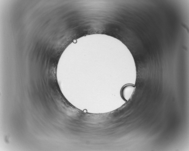 X0000103930045200810031309