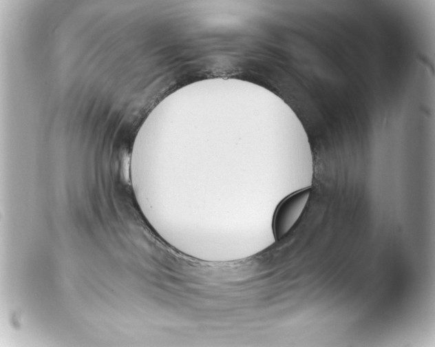 X0000103930046200810031309