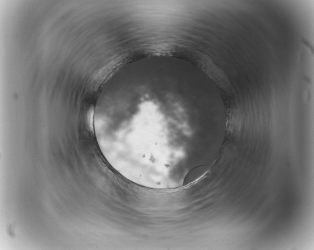 X0000103930047200810031309