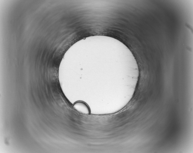 X0000103930048200810031309