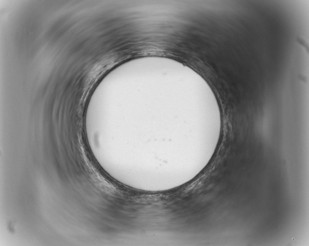 X0000103930049200810031308