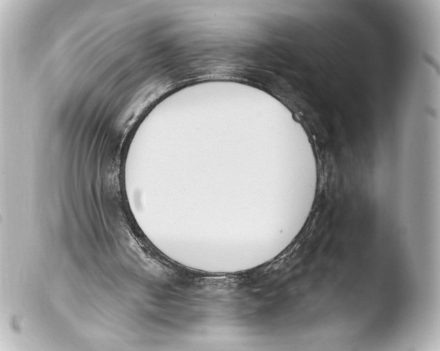 X0000103930050200810031308