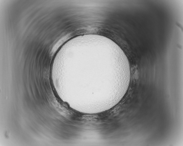 X0000103930051200810031308