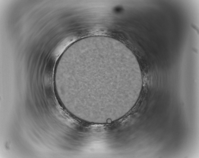 X0000103930052200810031308