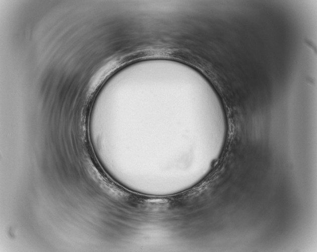 X0000103930053200810031308