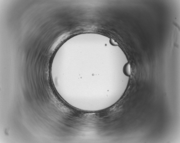 X0000103930054200810031308