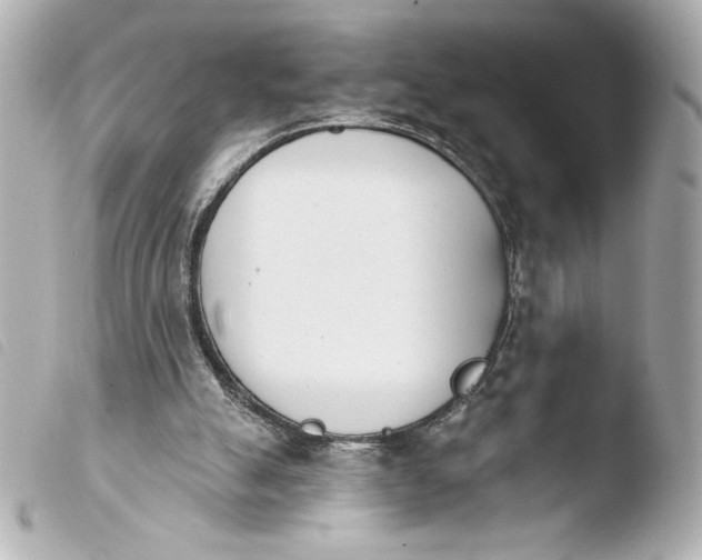 X0000103930055200810031308