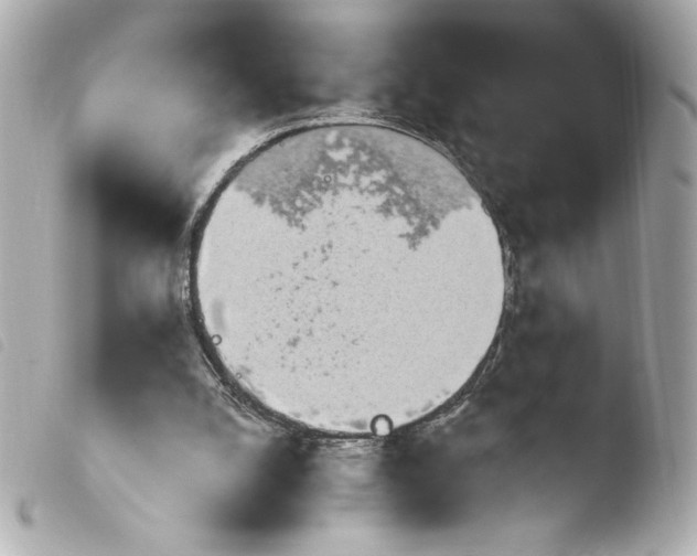 X0000103930056200810031308