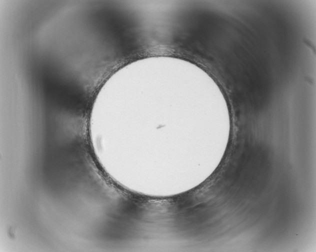 X0000103930057200810031309