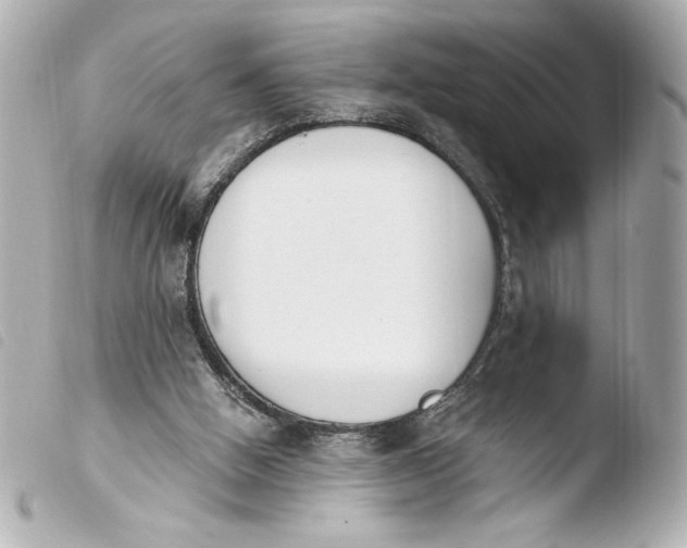 X0000103930058200810031309