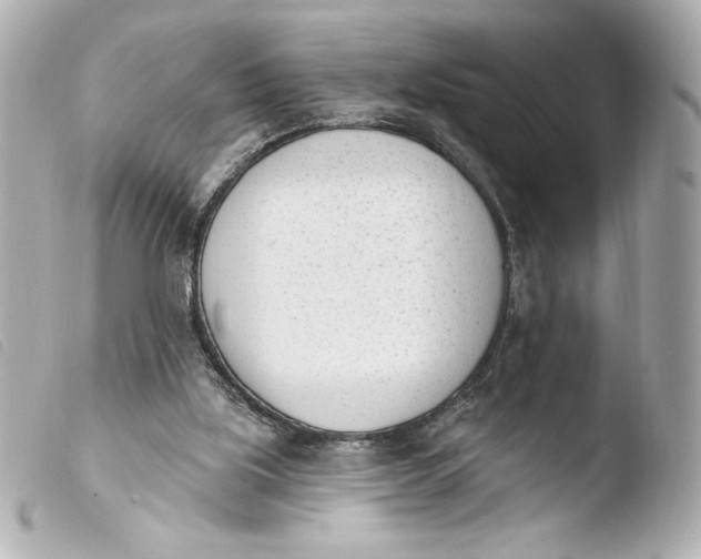 X0000103930059200810031309