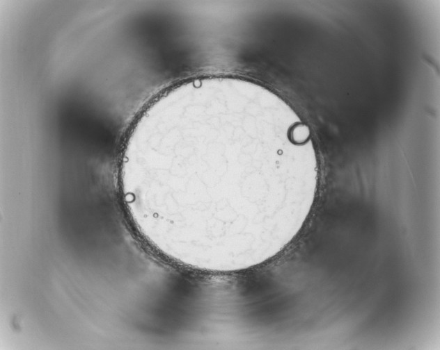 X0000103930060200810031309