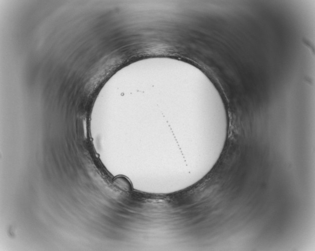 X0000103930061200810031309