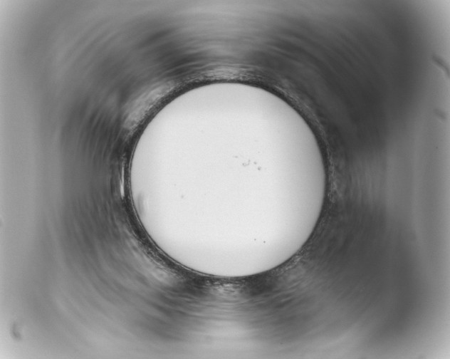 X0000103930062200810031309