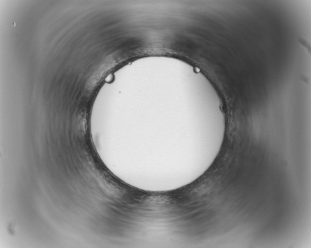 X0000103930063200810031309