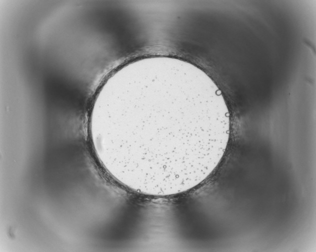 X0000103930064200810031309