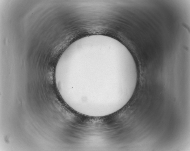 X0000103930065200810031309