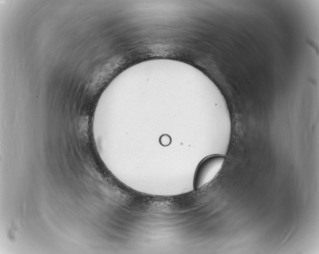 X0000103930066200810031309