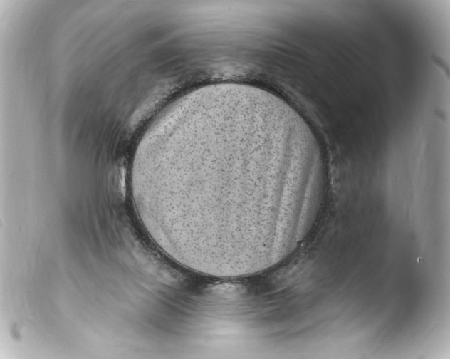 X0000103930067200810031309