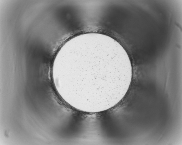 X0000103930068200810031309