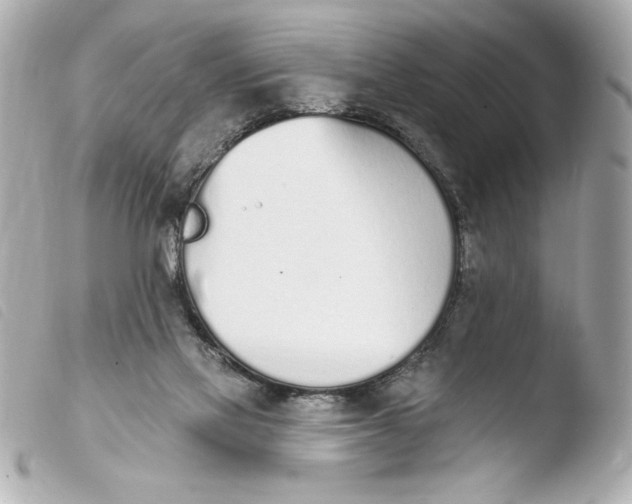 X0000103930069200810031309