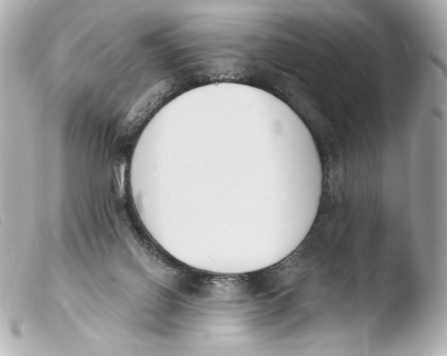 X0000103930070200810031309