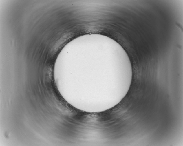 X0000103930071200810031309