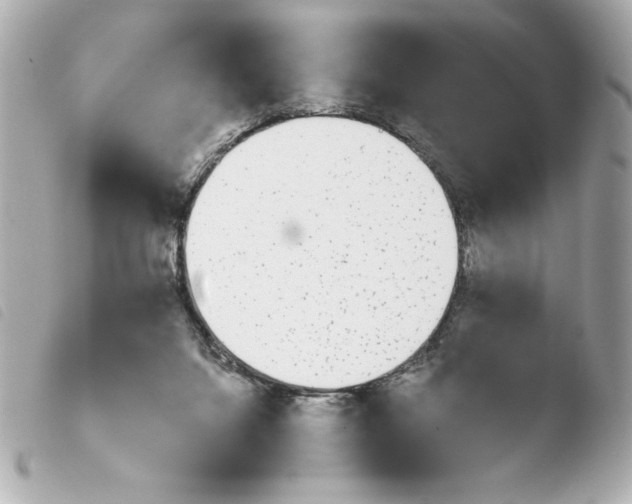 X0000103930072200810031309