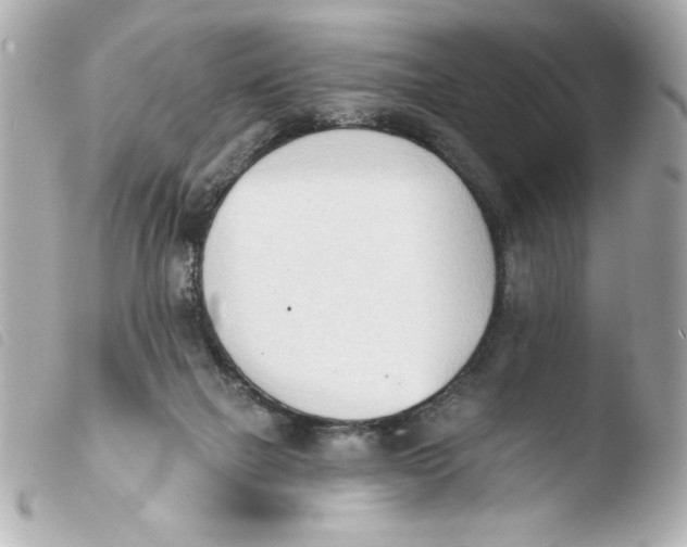 X0000103930073200810031309