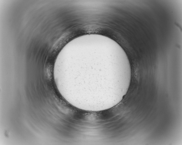 X0000103930074200810031309