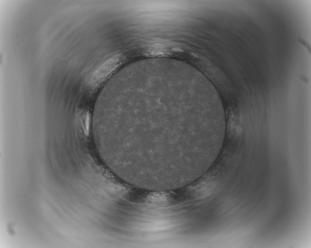 X0000103930076200810031309