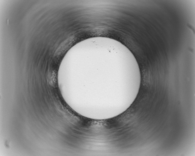 X0000103930077200810031309